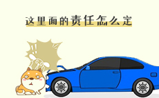 开车把狗撞死了，这里面的责任怎么定