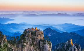 团体旅游保险比较比什么？团体旅游保险在哪里买好？
